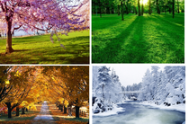 «Времена года»